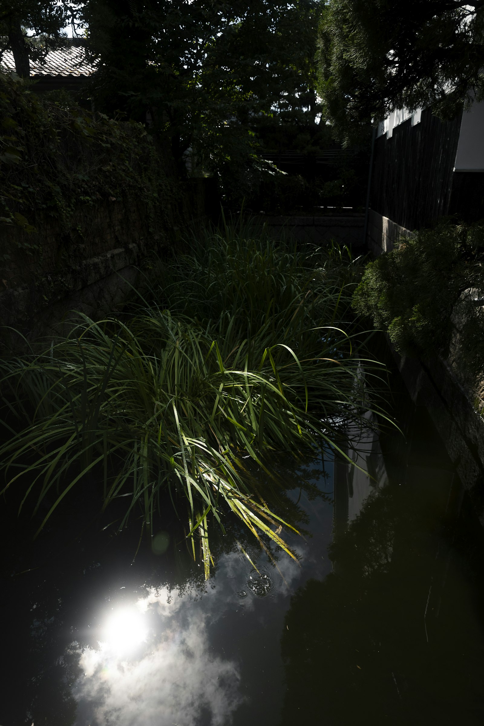가슴에 손을 얹고 스스로를 다독이는 장면